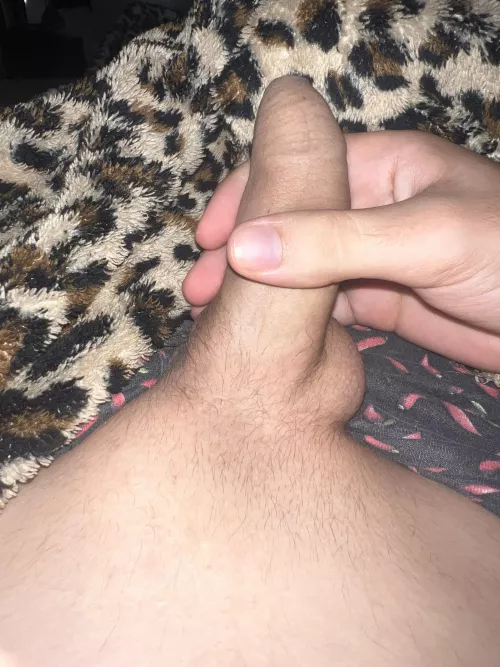 Anyone likes thin pubes [21]