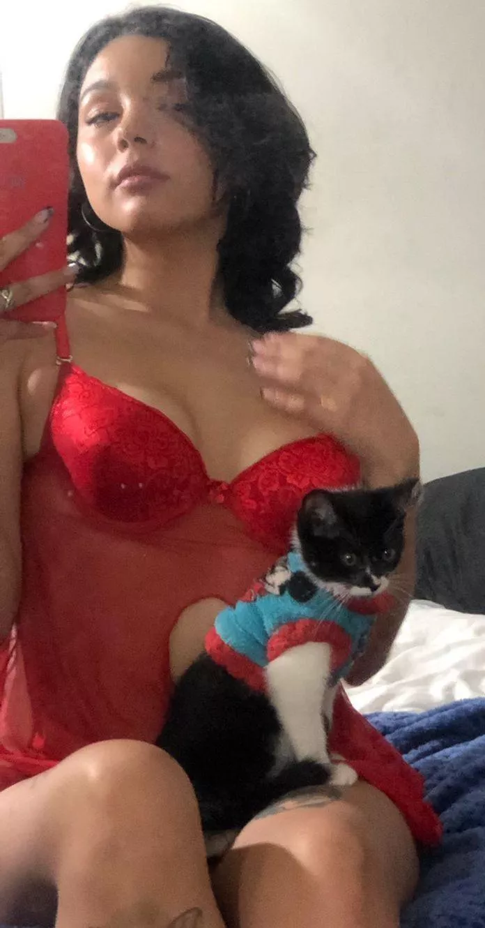 Do you think my cat is lucky? 😁