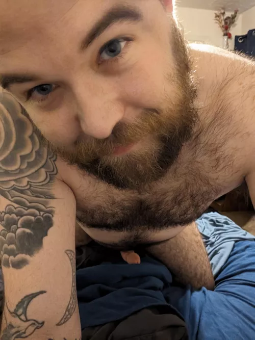 I think we should wrestle. What do you say?