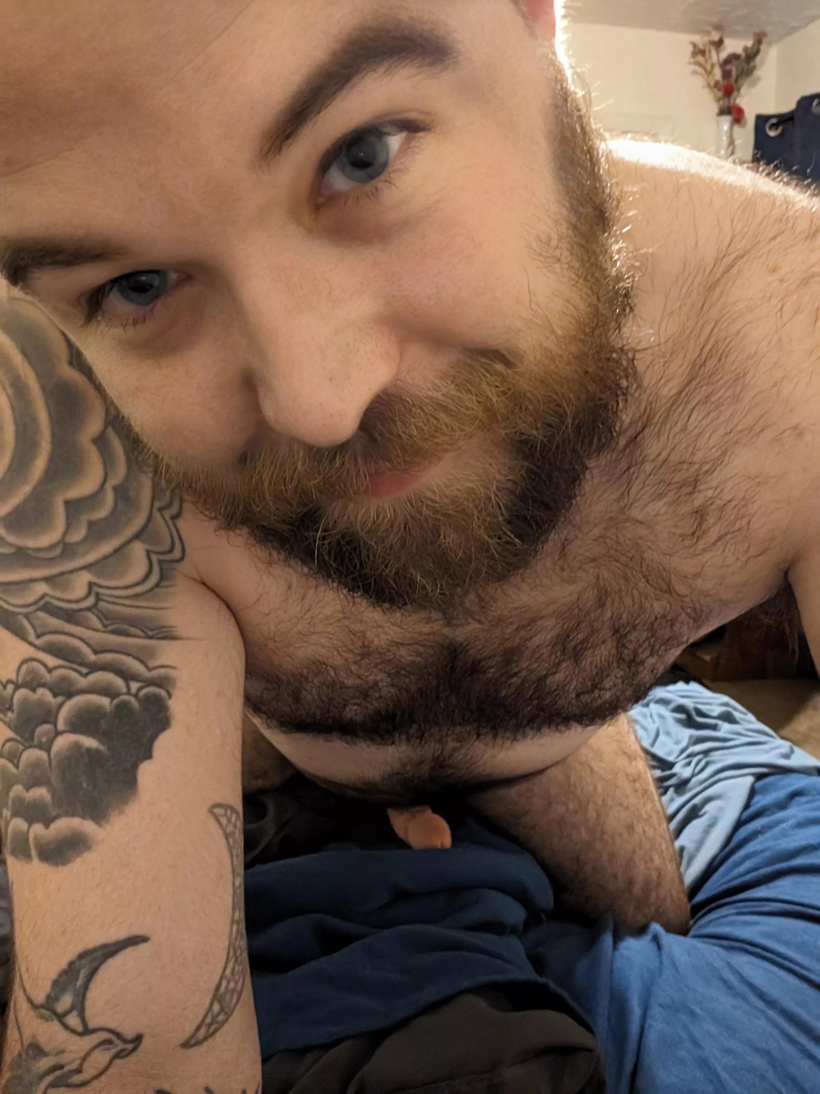 I think we should wrestle. What do you say?