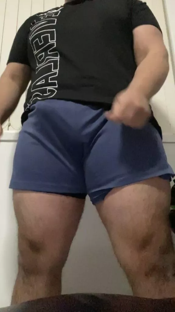 If I was an animal, what animal would I be?