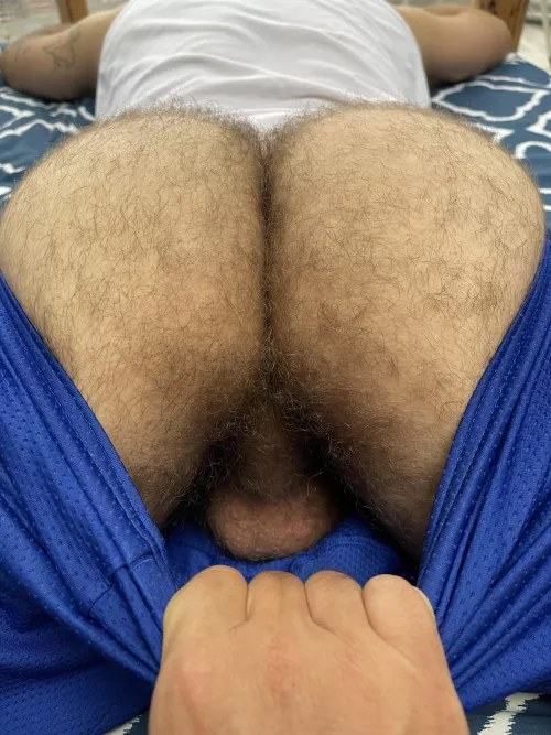 Just a hairy otter butt