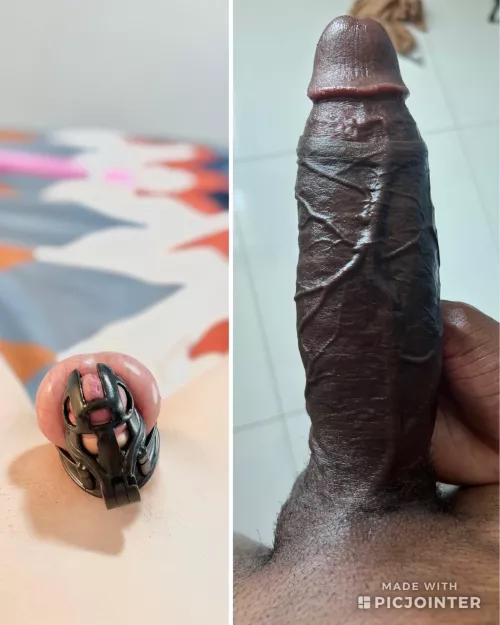 Just a reminder, that’s why you’re locked up.