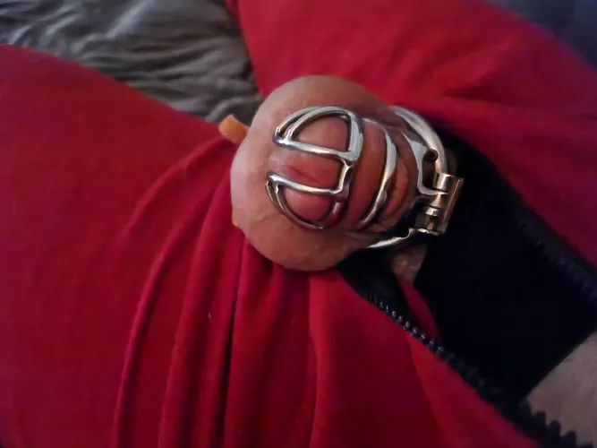 Waiting for Mommy to make me cum hands free.