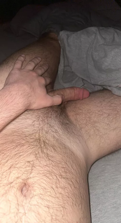 Anyone want to cuddle?