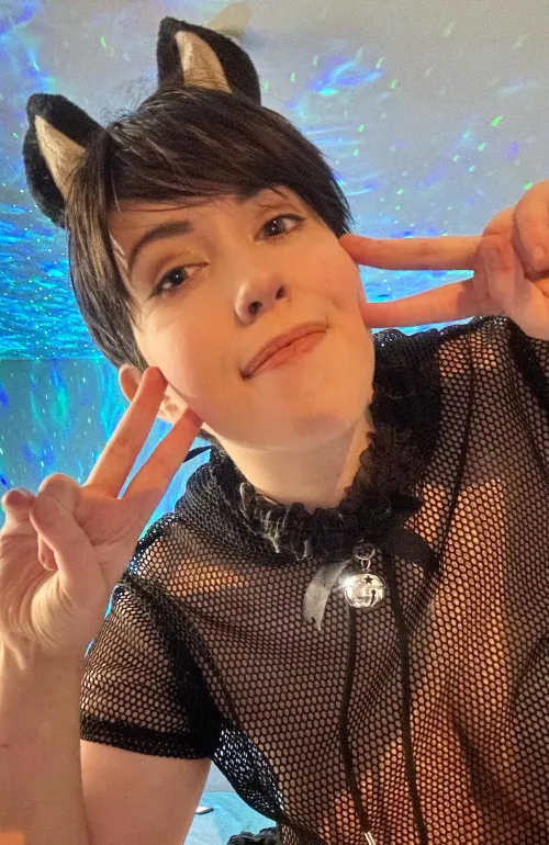 I hope someone likes the little kitten here