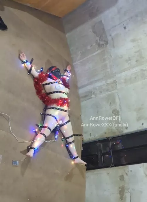 I'm a Christmas starfish! With some additional toys attached