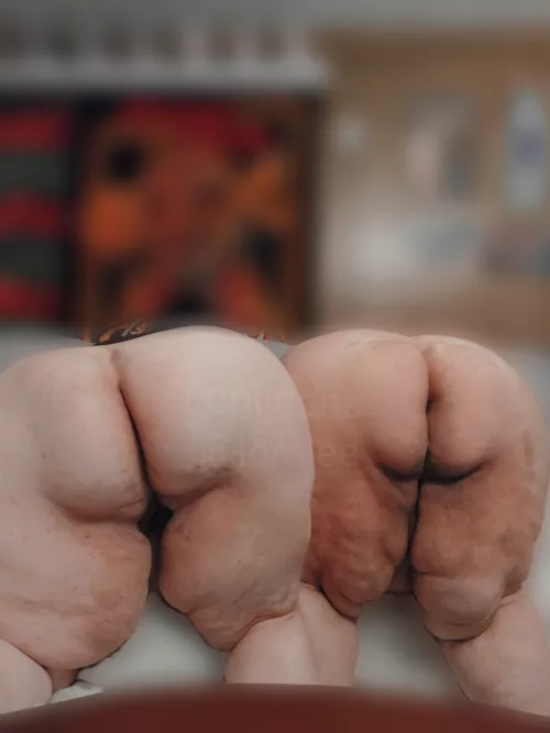 Lined up for easy breeding, where you starting? 🐷🐮