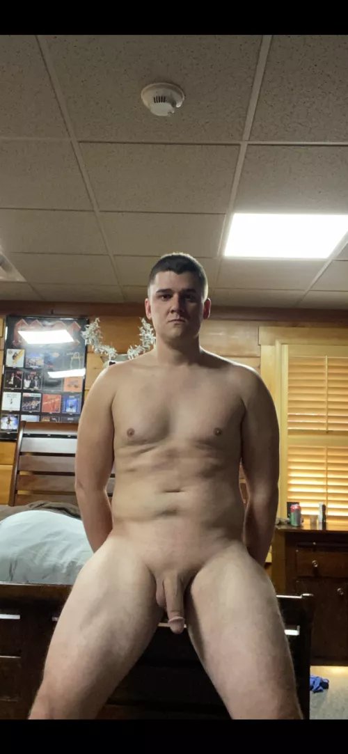 Not too wild, what do you think? Check out post history for more