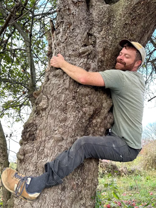 This old tree gave us some great apples this year 🍎