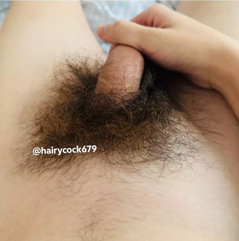 (24) no shave November!