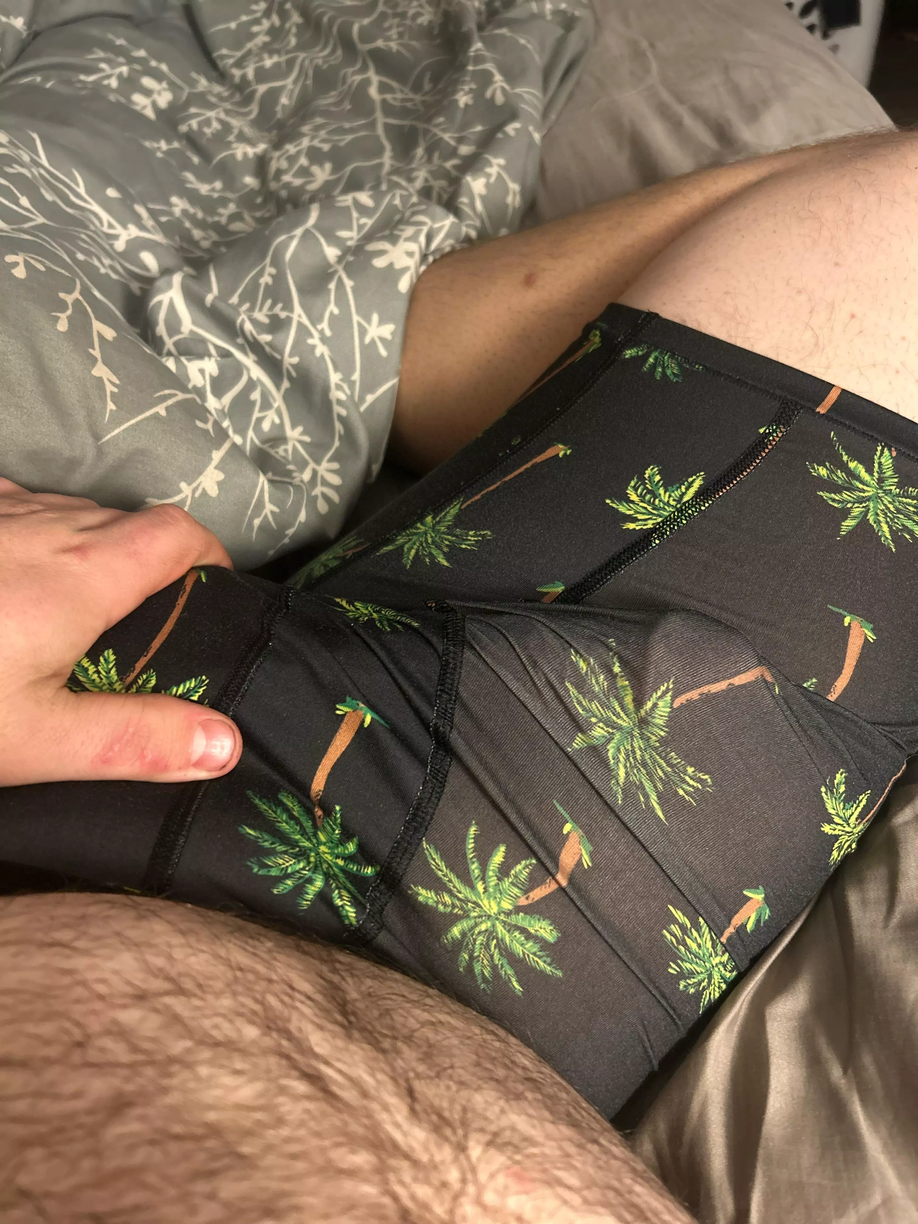 29 Canadian
