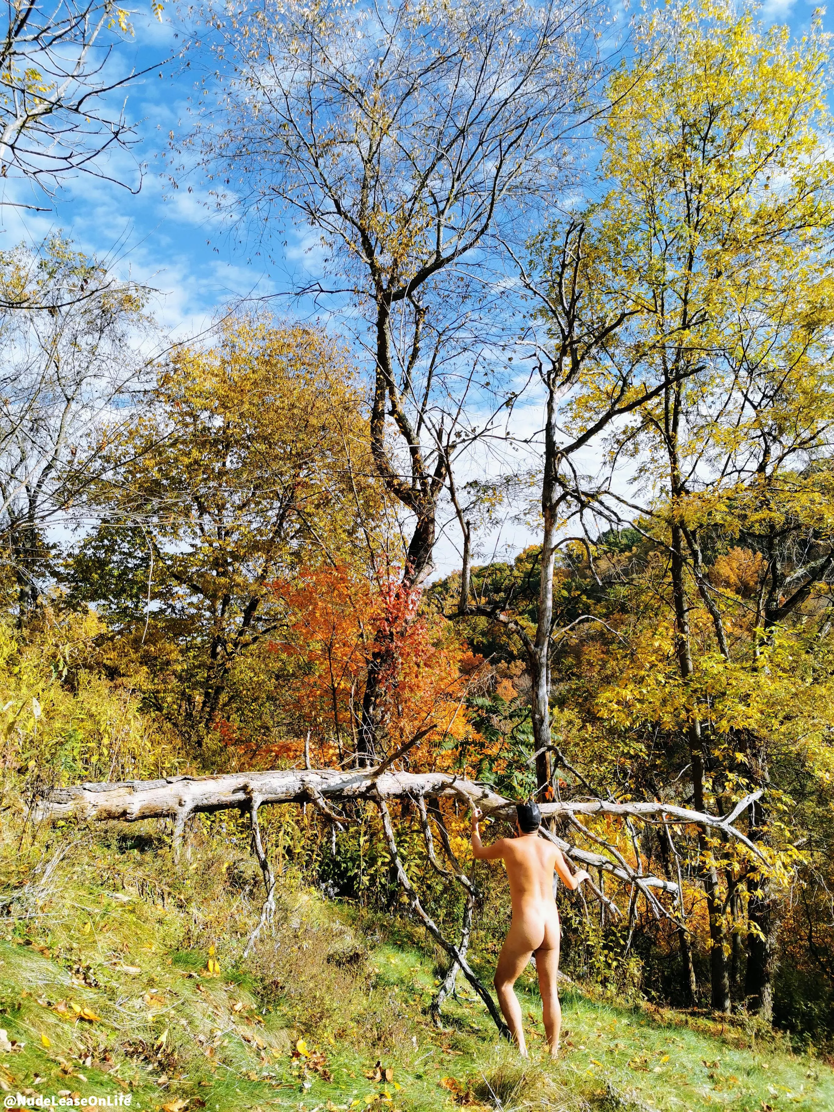 Despite cooler temperatures and shorter days, we hope everyone is enjoying their autumn. I just love how this photo came out. I feel that it speaks to nature and the seasons and the cycle of life so well, and it was wonderful to be able to take a moment 