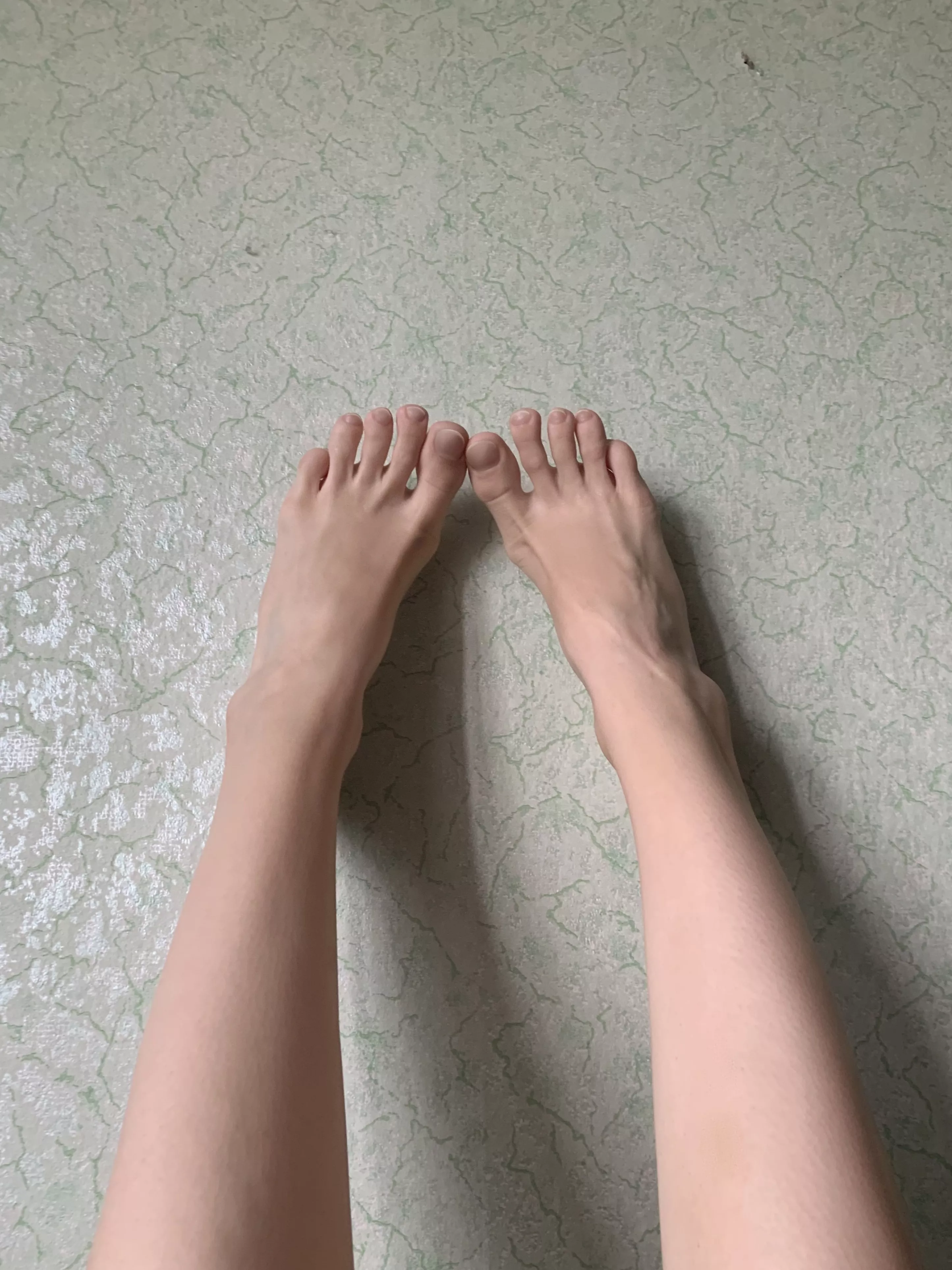 Fancy a leggy adventure?