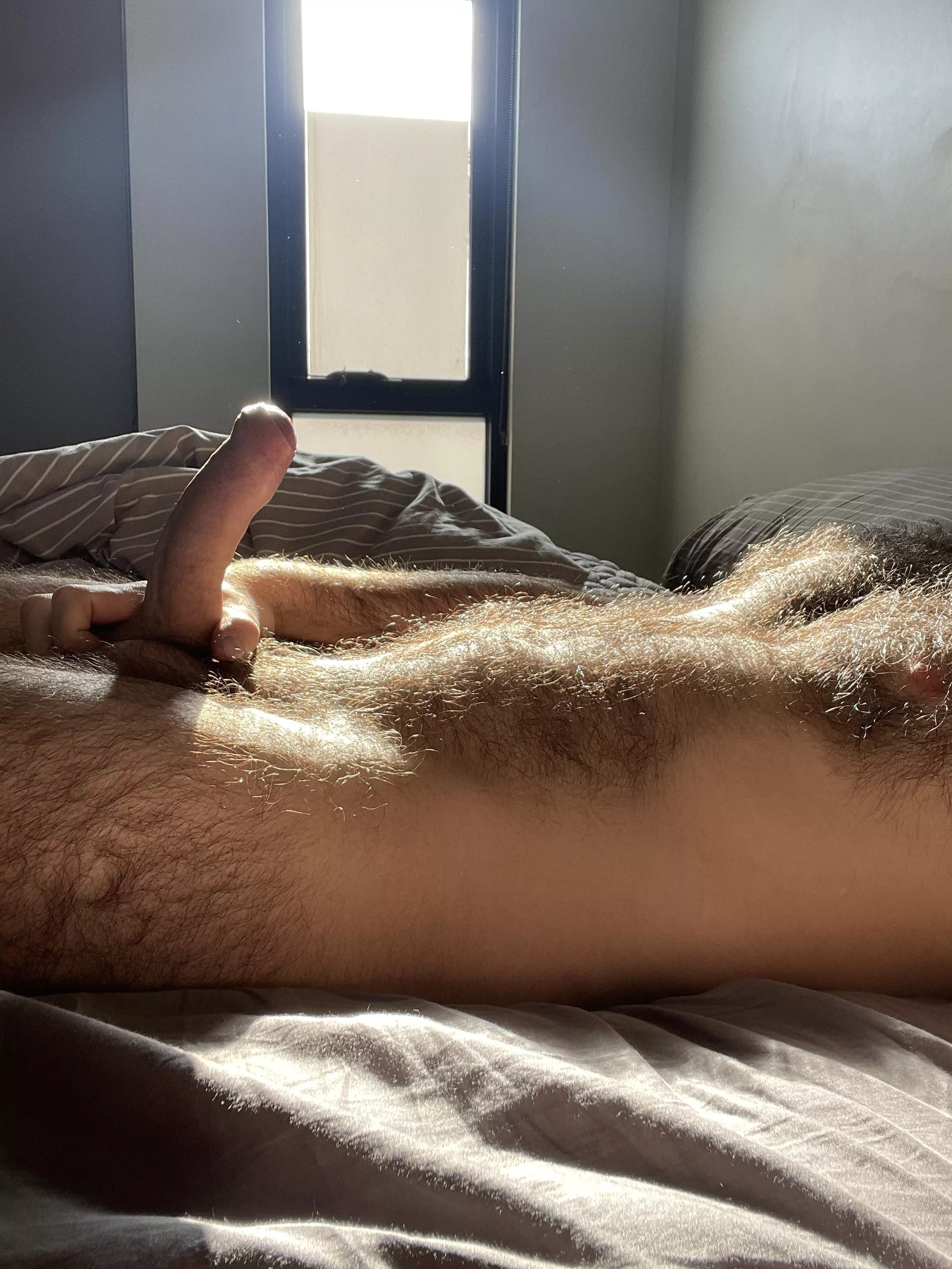Golden hour sunlight does wonders for my chest hair.