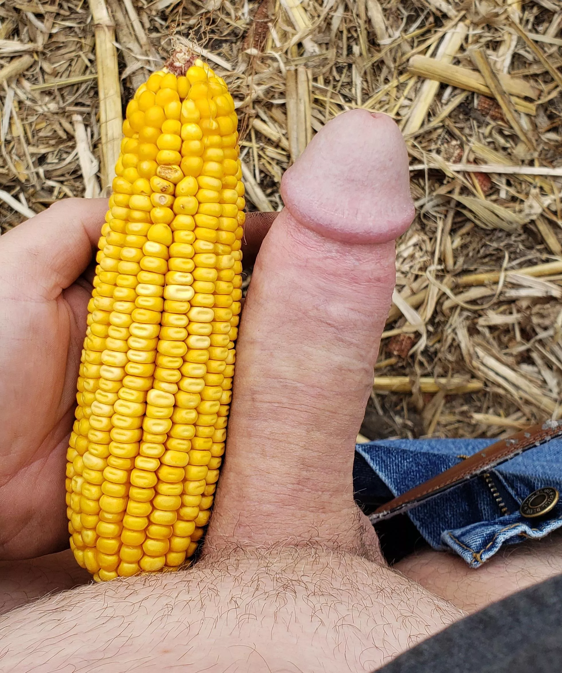 Just an average farmer