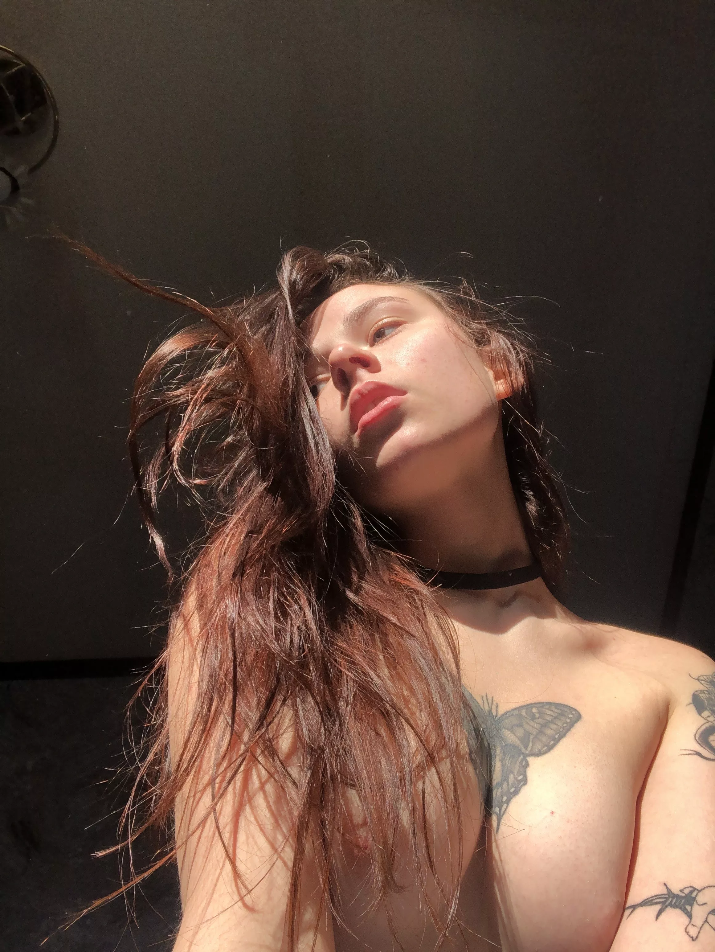 Morning [f18]