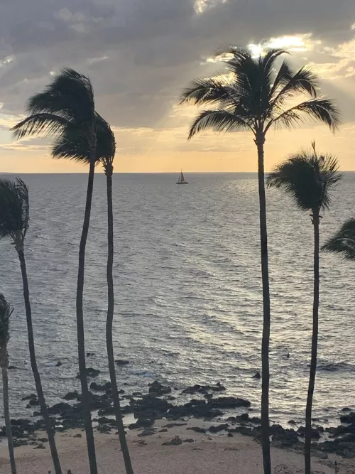 Nearing our end in Maui