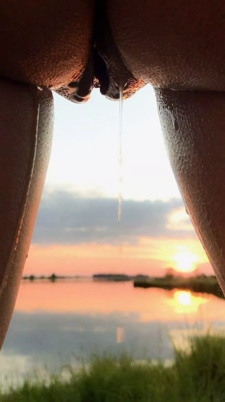 Perfect view