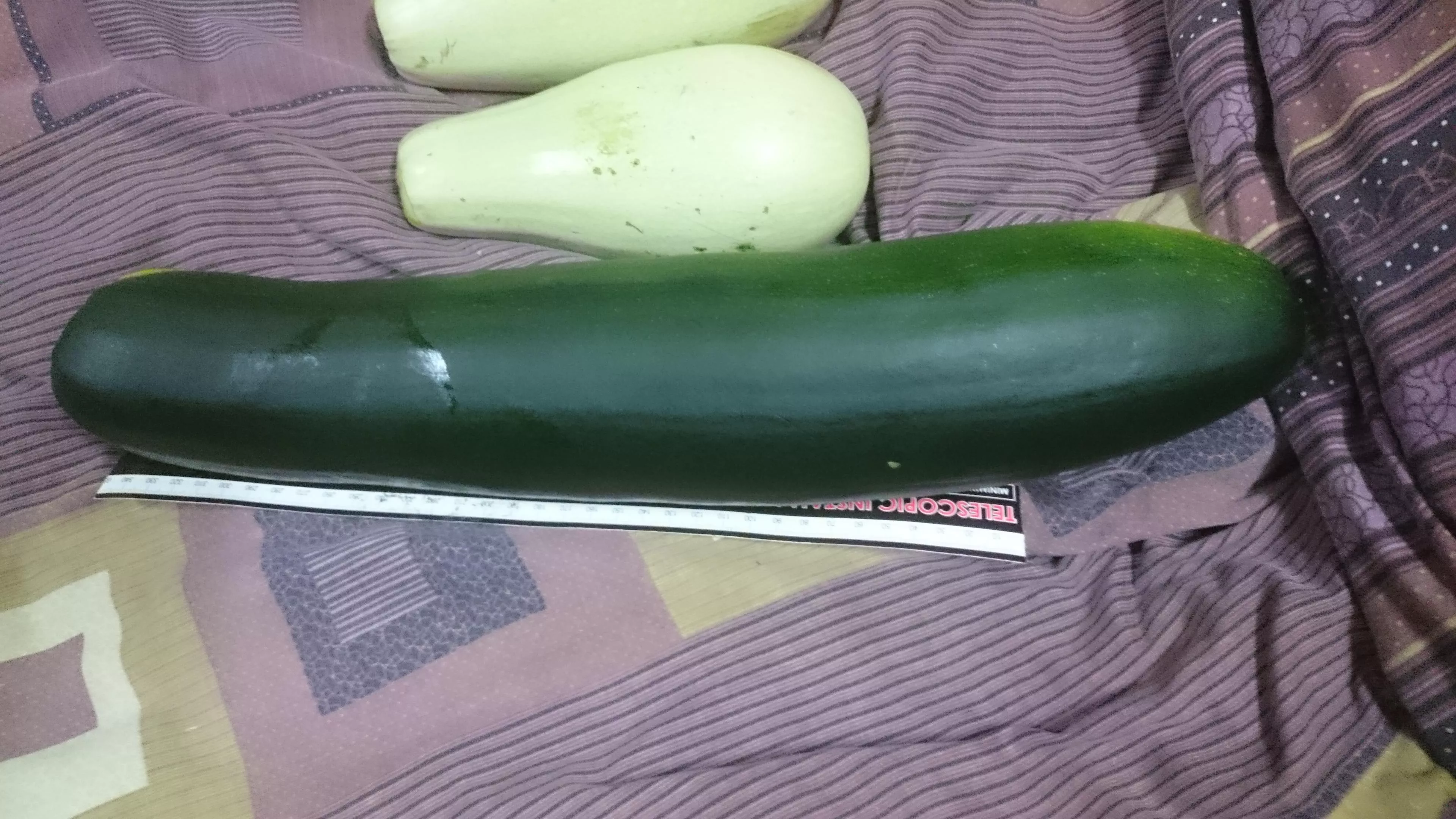 32cm circumference x 40cm long huge zucchini for my ass