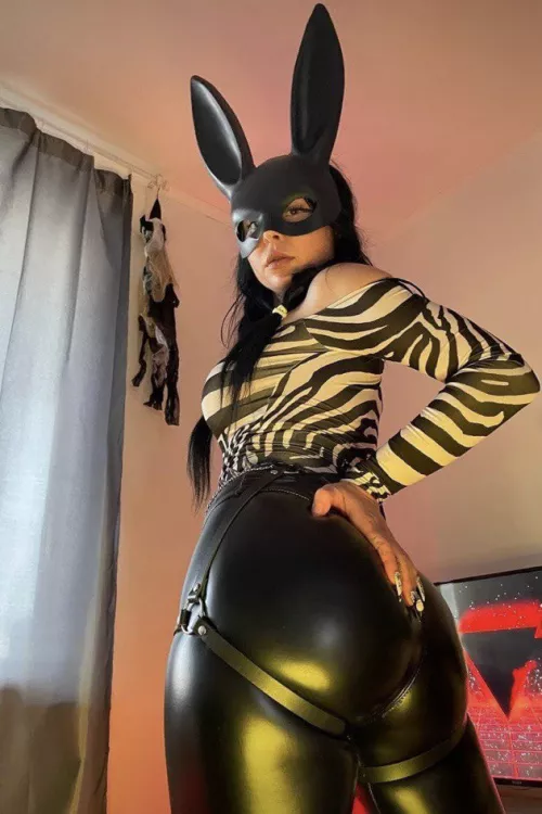 Bad bunny