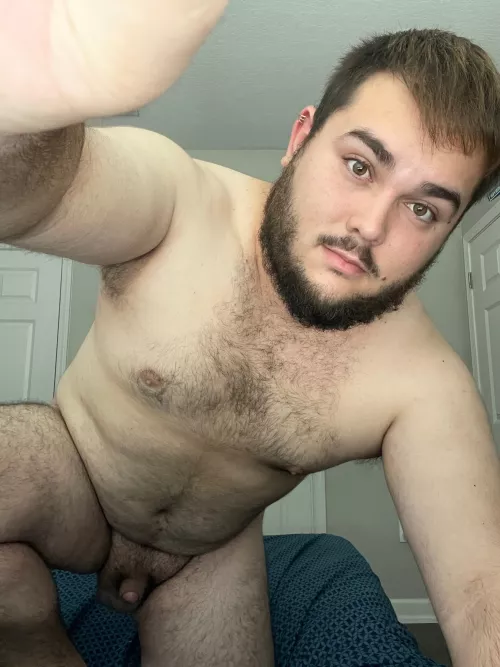 bi cub goes wild on camera