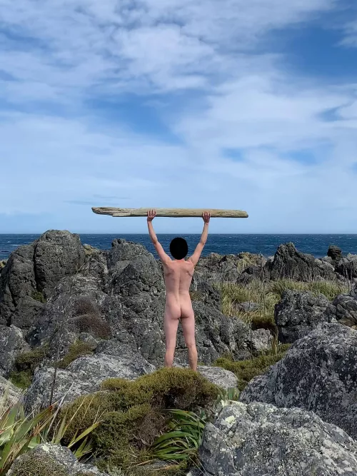 Creating a new horizon with some driftwood I found 😄