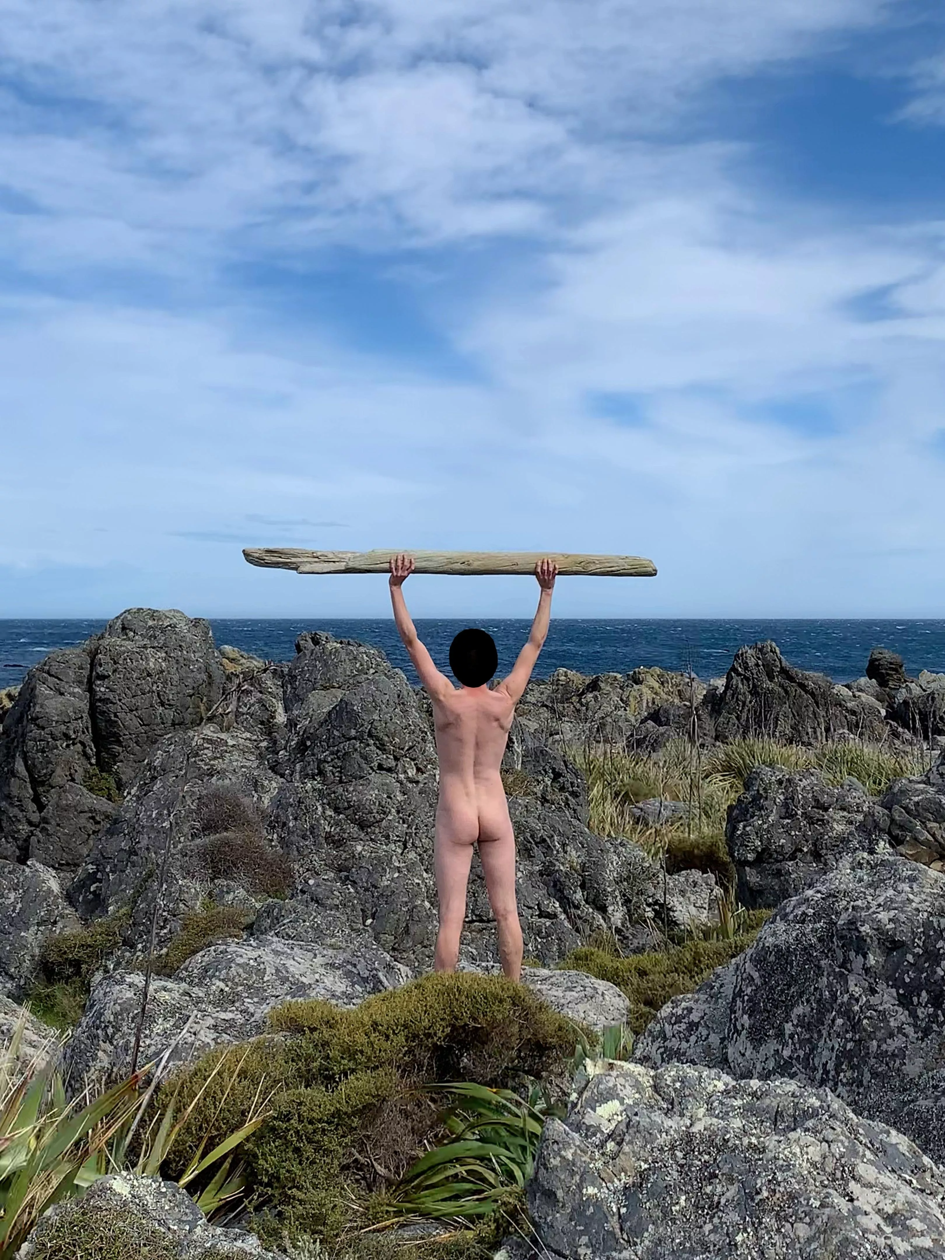 Creating a new horizon with some driftwood I found 😄