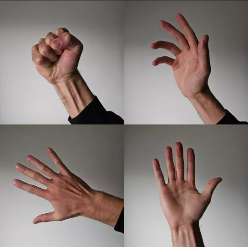 Do Not Bite The Hand Which Feeds You