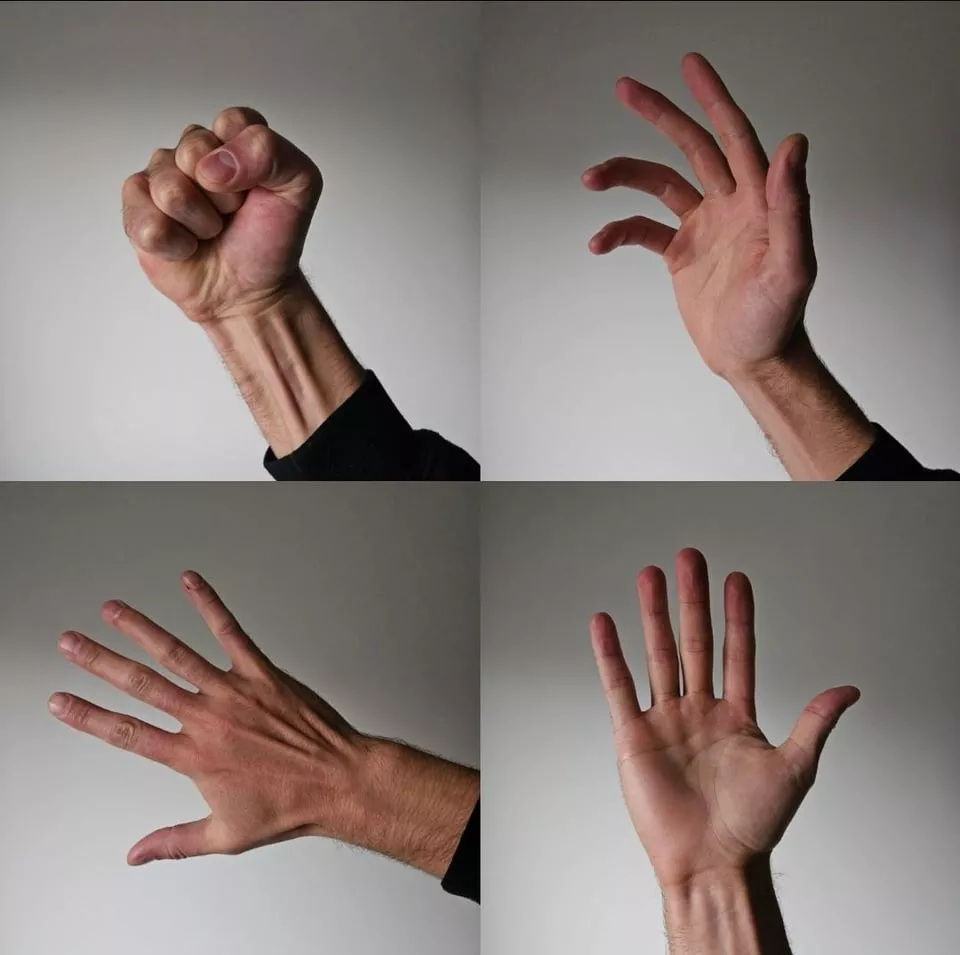 Do Not Bite The Hand Which Feeds You