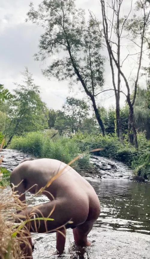 I'm not a Terminator, honest