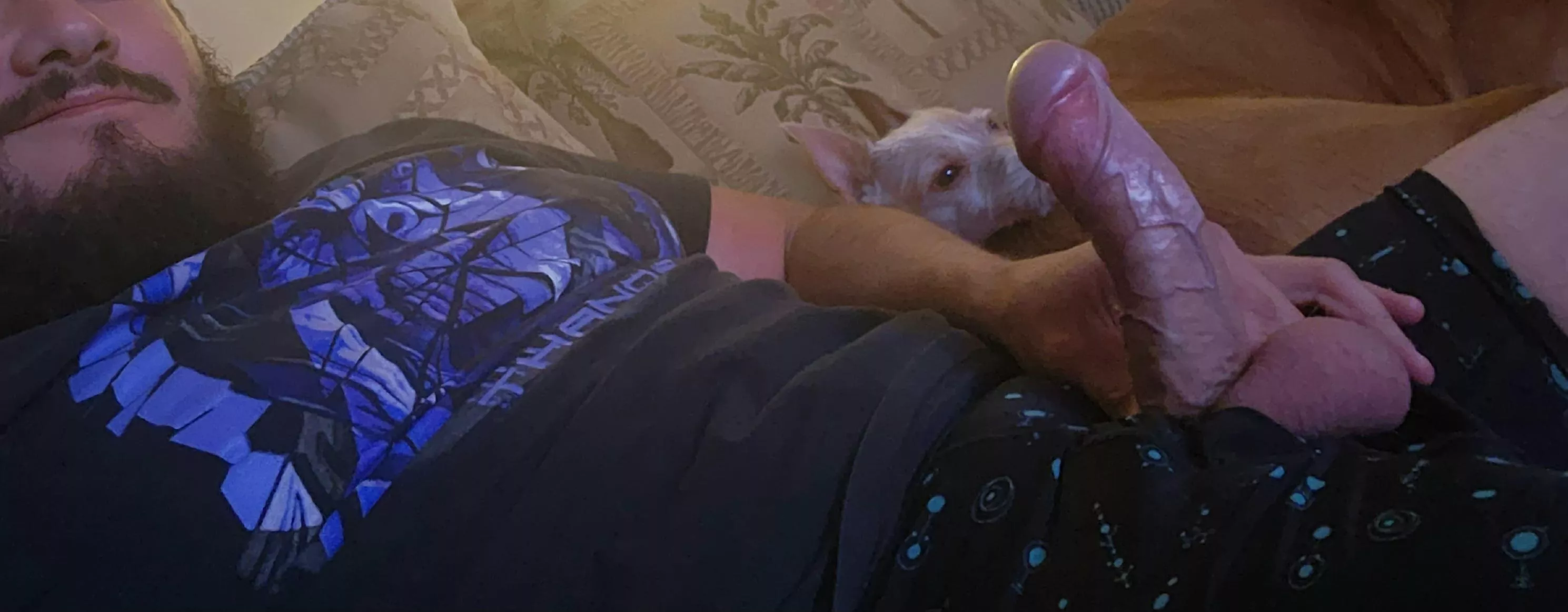 Just a dude and his dogs