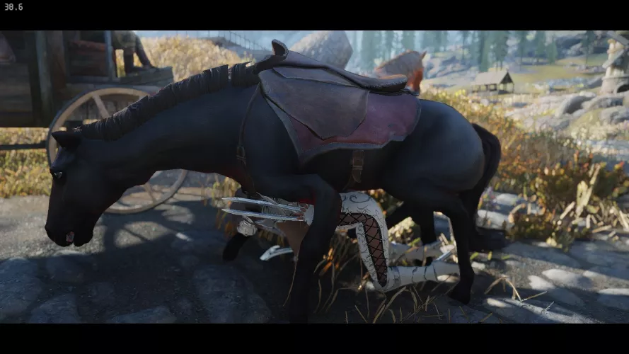 MY HORSE HAS A THINK FOR MY CHARACTER