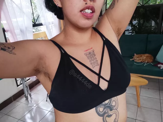 we love fur in this house😹