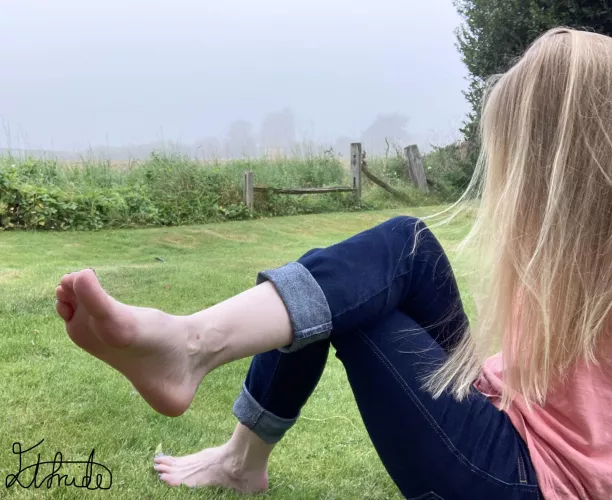 Would you stop to get a better look?