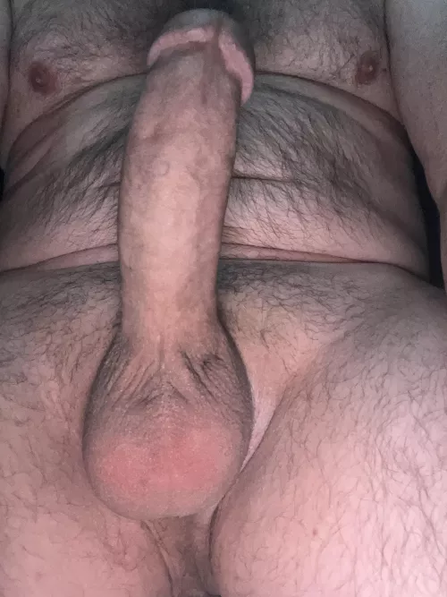 (52)Daddy needs a good fuck toy to breed.