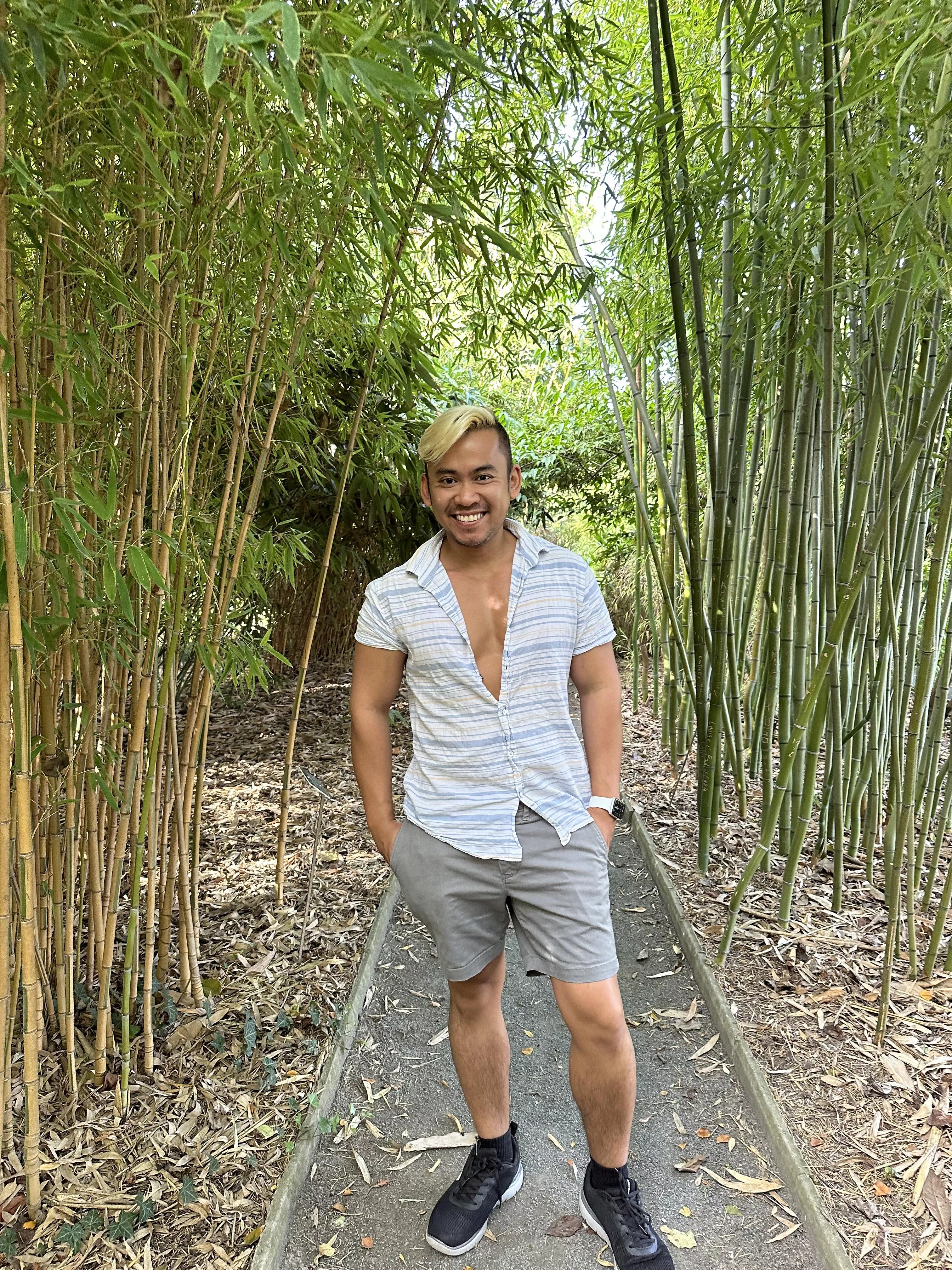 bamboo pic. so asian. but this was in france!