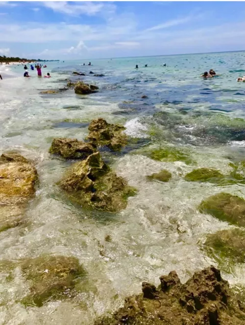 Caspersen Beach in Venice, Florida🌞🌞
