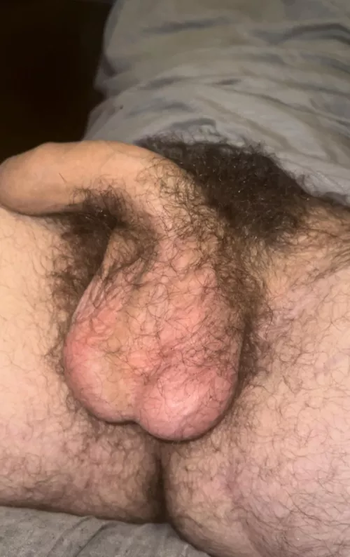 Could you handle my giant bush?😏🍆Dms open😈