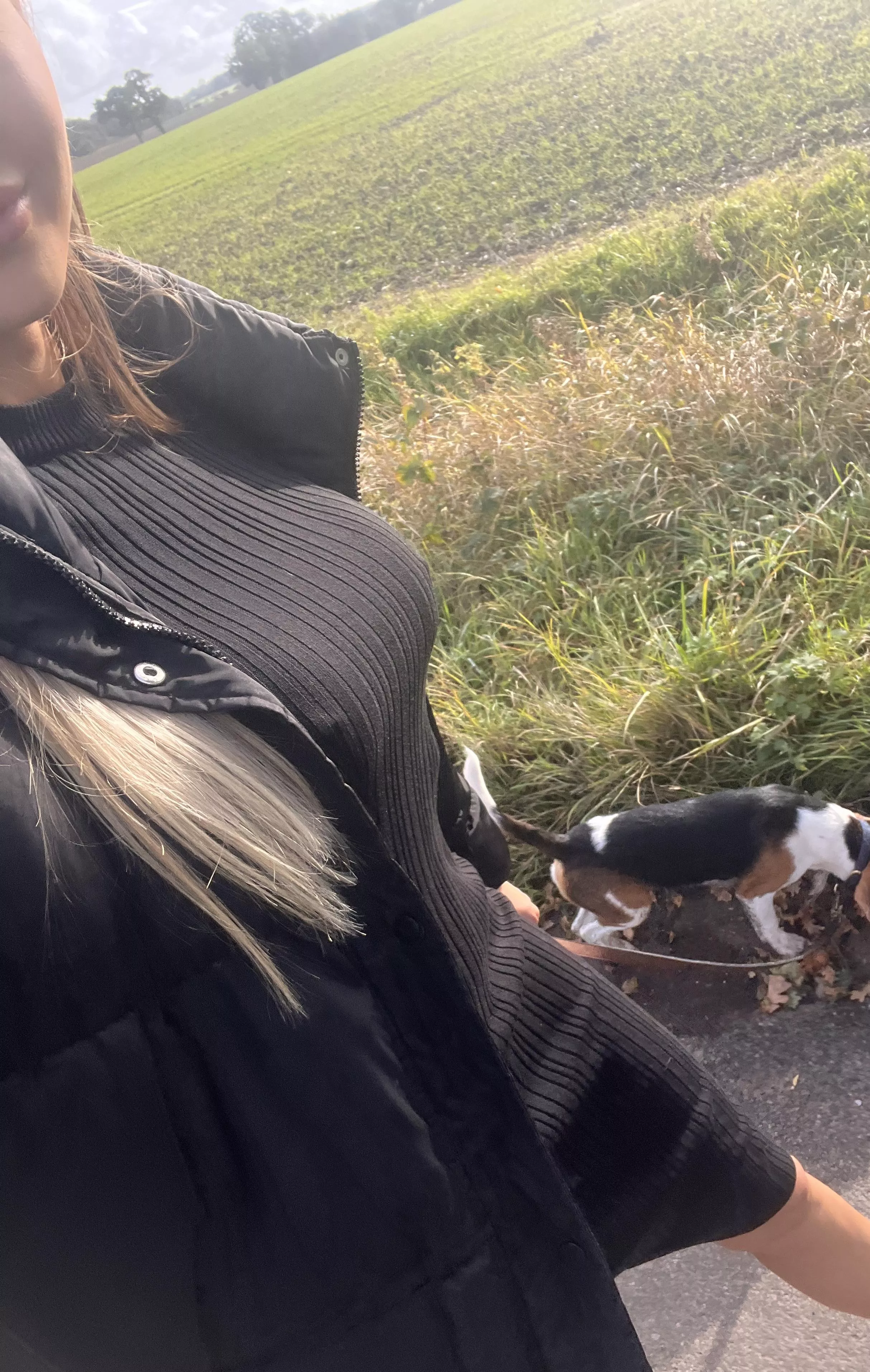 cute beagle & nice views ❤️