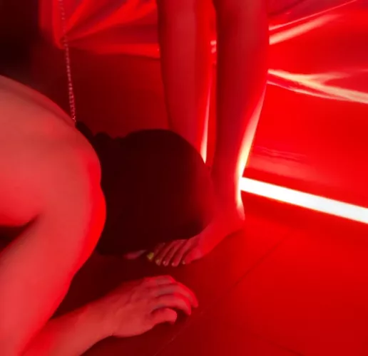 Every dog’s place.