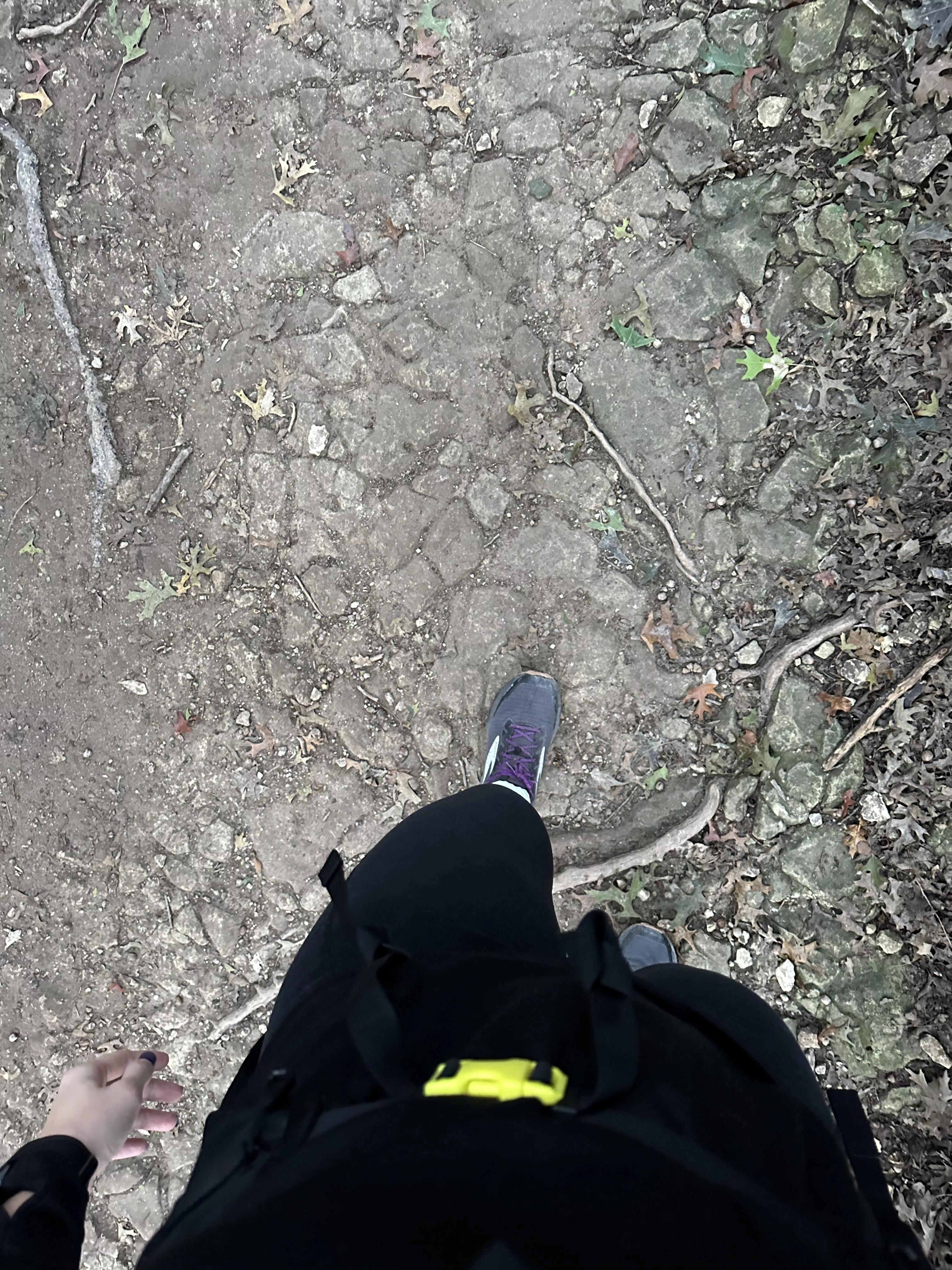 Had a great hike today 😊