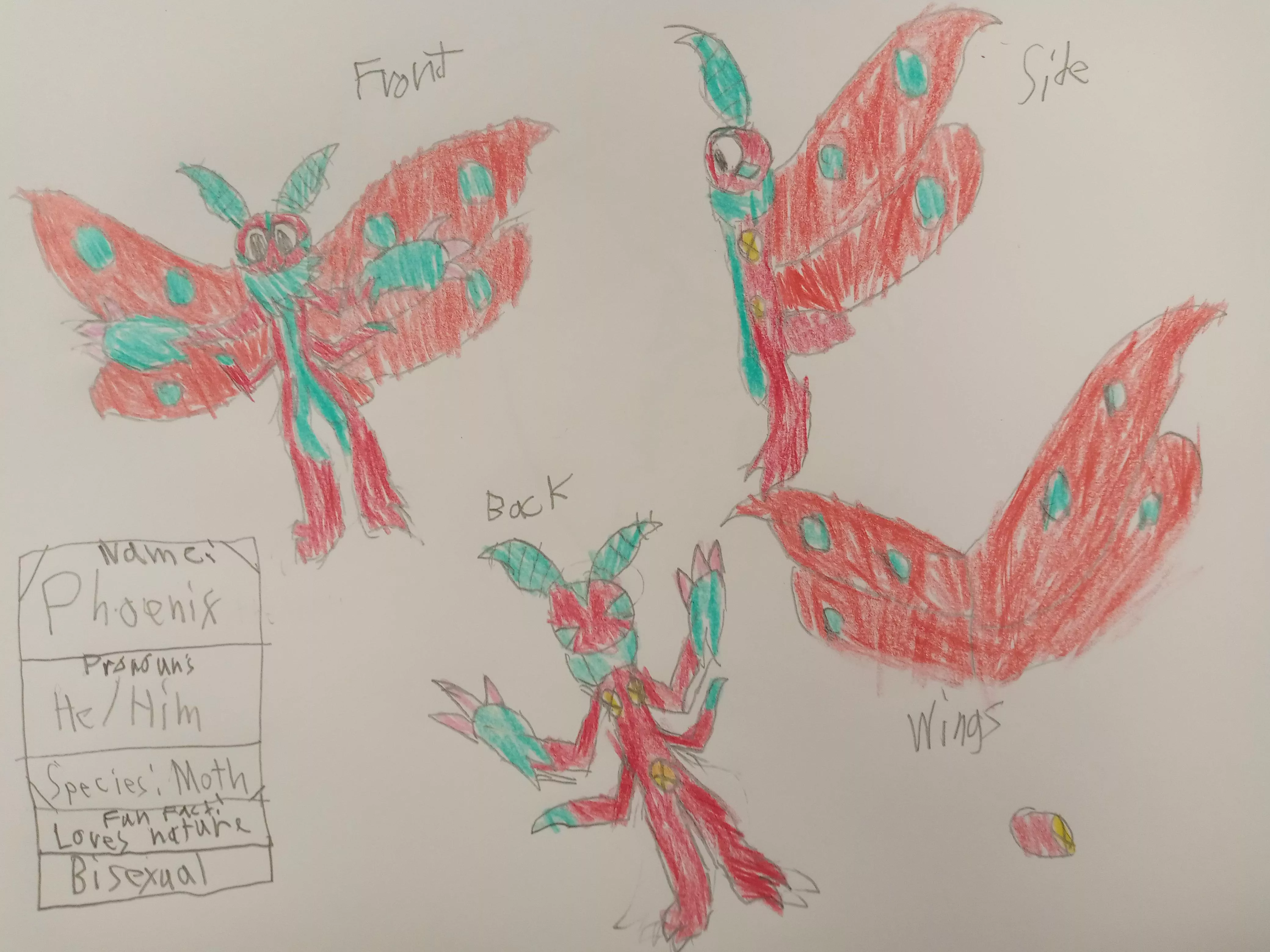 Heres my fursona, his name is Phoenix and he is a moth