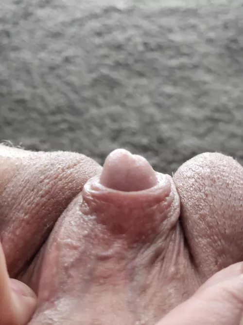 Hood a little veint tonight