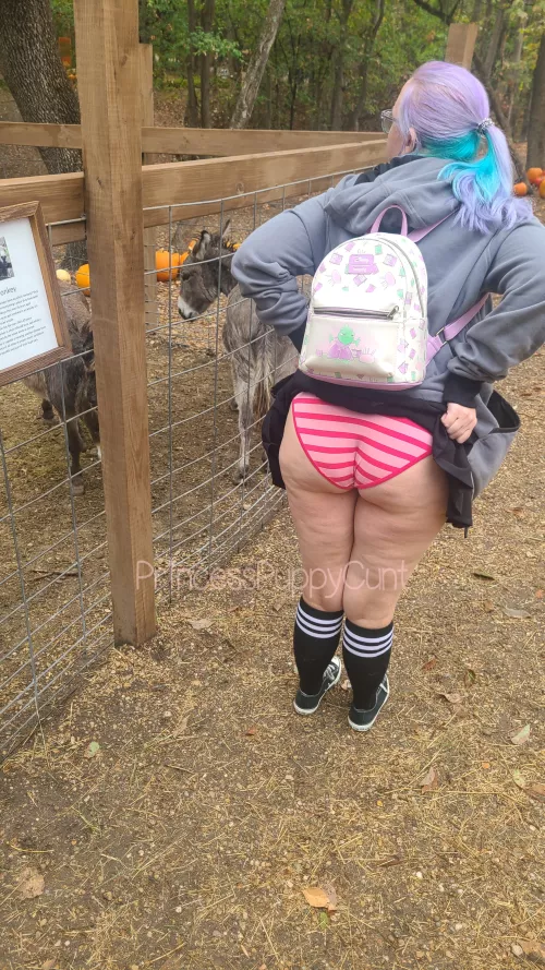 No not that ass, MY ass 🤭