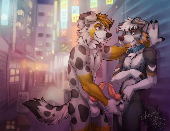 Public Fun (CherryBox)