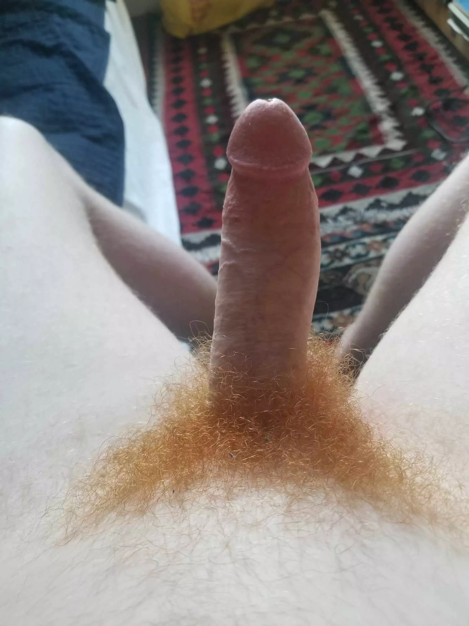 Redheads make me hard