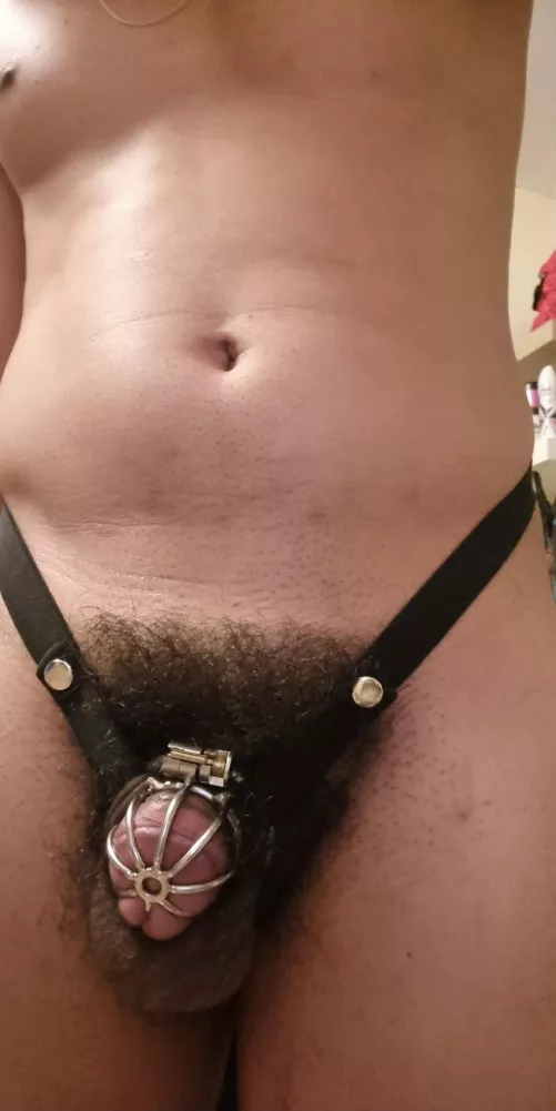 straps are amazing 🔒