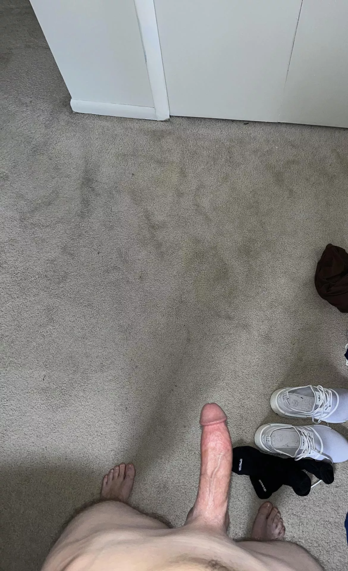 What stands out on it?