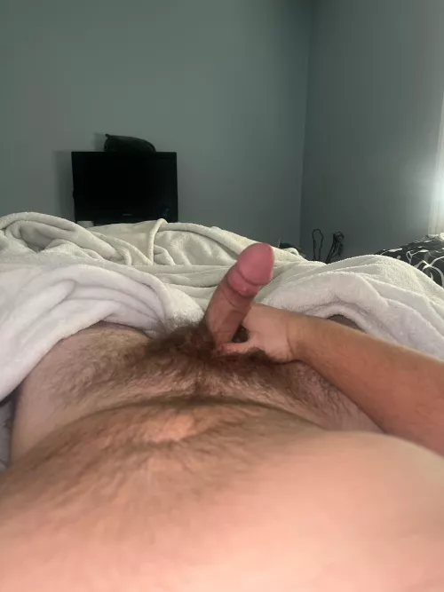 26 is my bush hairy enough?